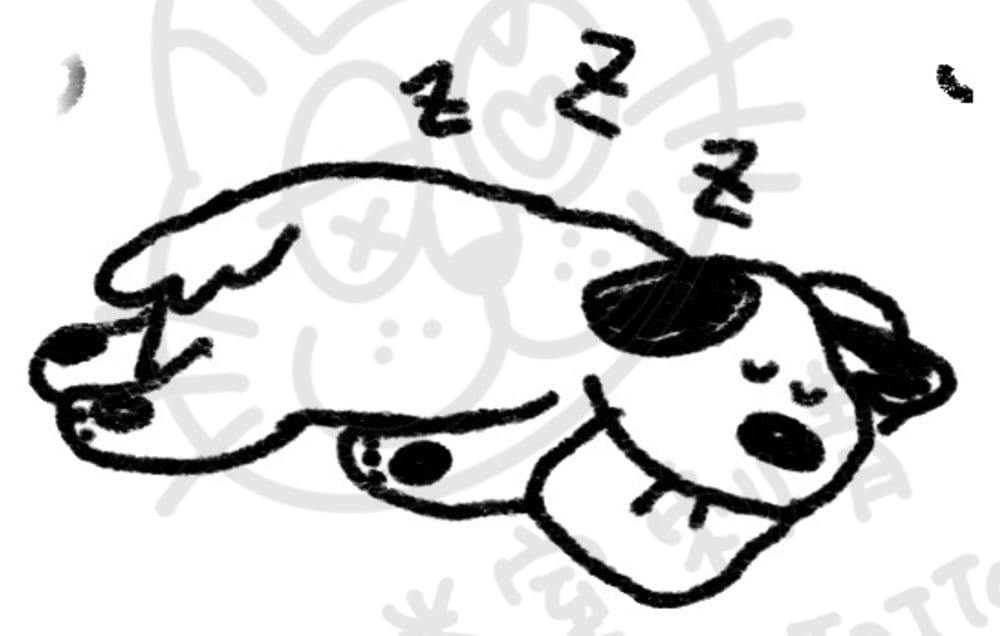 小動物系列插畫