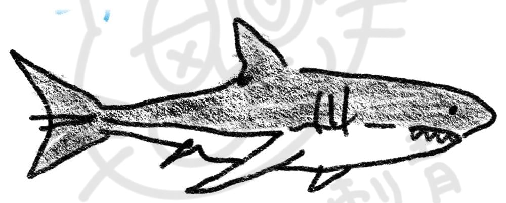 海底動物系列插畫