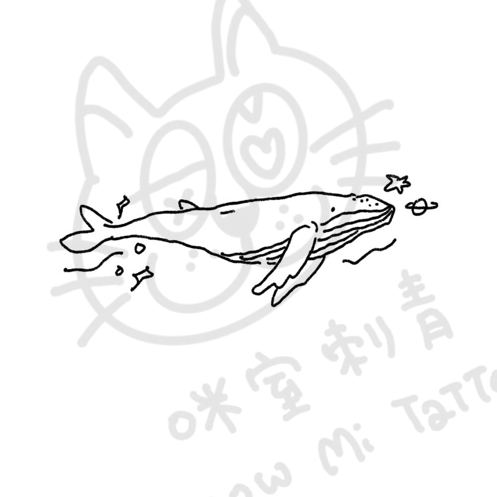 鯨魚遨遊