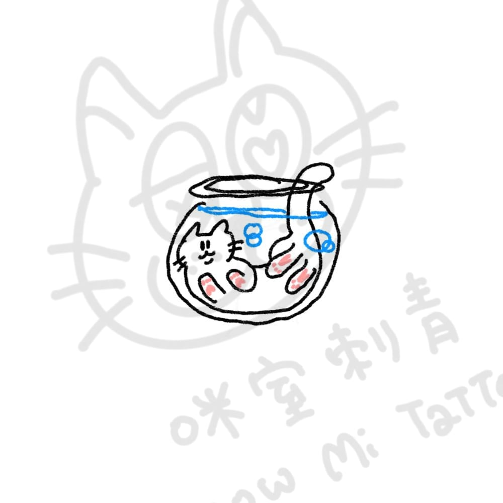 魚缸貓貓
