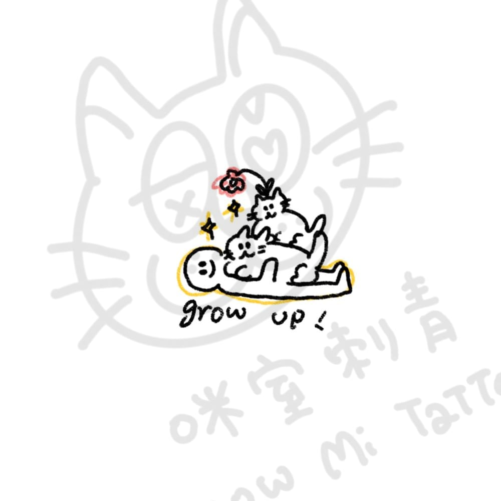 貓貓長大