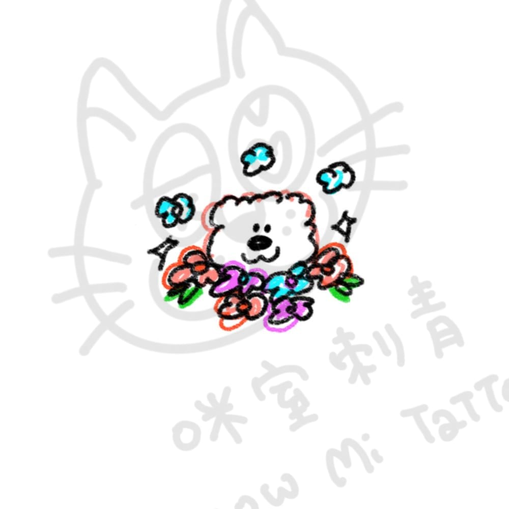 狗狗花
