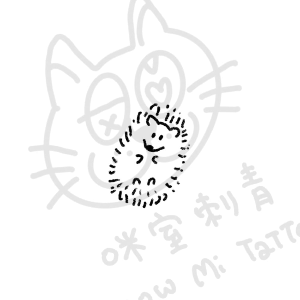 小刺蝟