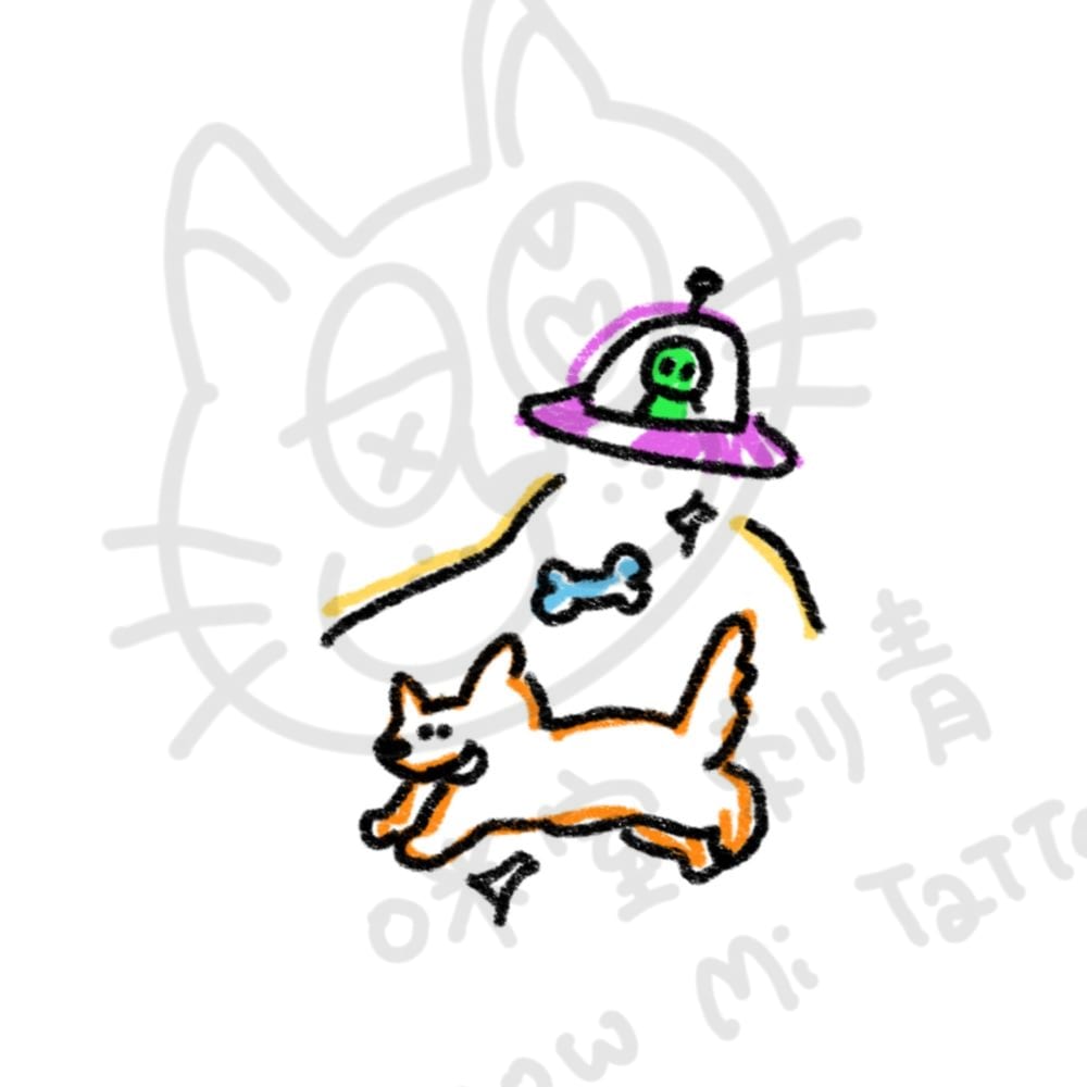 狗狗漂浮