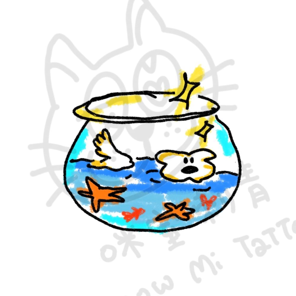 海狗海星魚缸