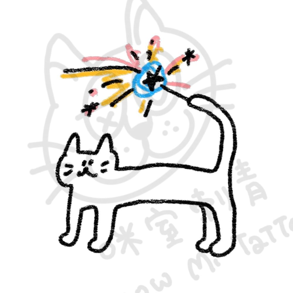 魔法貓貓